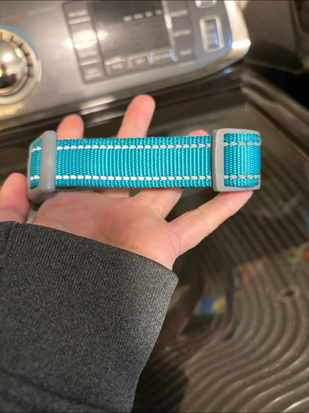Teal Dog Collar Clip Sz M